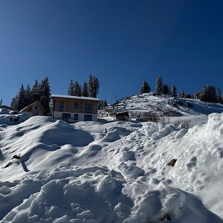 Berglisl - Direkt An Der Schipiste! Neue Ferienwohnung Mit Sauna Klippitztorl Zewnętrze zdjęcie